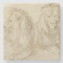 Posavasos De Piedra Dos Leones (Animales Silvestres) (Albrecht Durer)