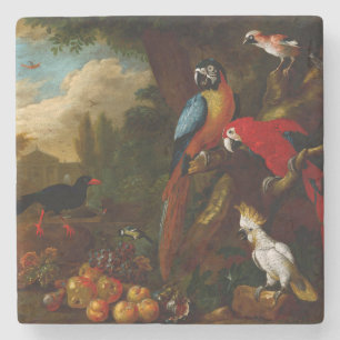 Posavasos De Piedra Dos Macaws un Cockatoo y un Jay con Fruit