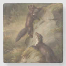 Dos martens luchando con humor en los bosques