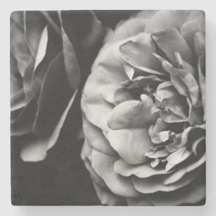 Posavasos De Piedra dos rosas