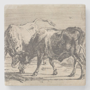 Posavasos De Piedra Dos toros de lucha (por Paulus Potter)