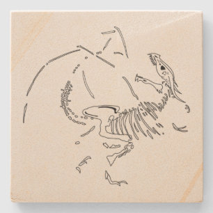 Posavasos De Piedra Dragon Fossils