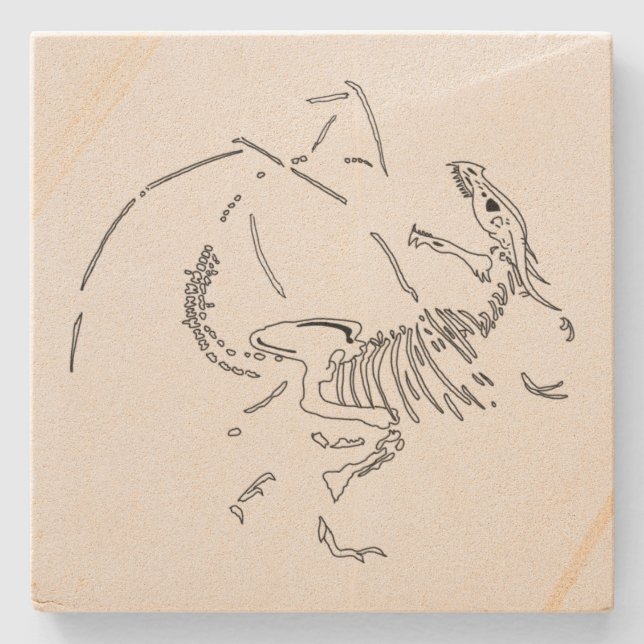 Posavasos De Piedra Dragon Fossils (Anverso)