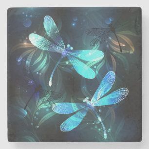 Posavasos De Piedra Dragonflies