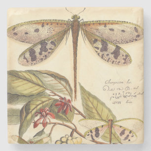 Posavasos De Piedra Dragonflies con hojas y fruta