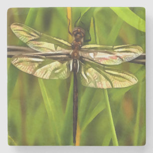 Posavasos De Piedra Dragonfly Artificial En Marrón Y Amarillo En Verde