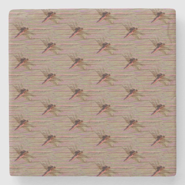 Posavasos De Piedra Dragonfly Colorful (Anverso)