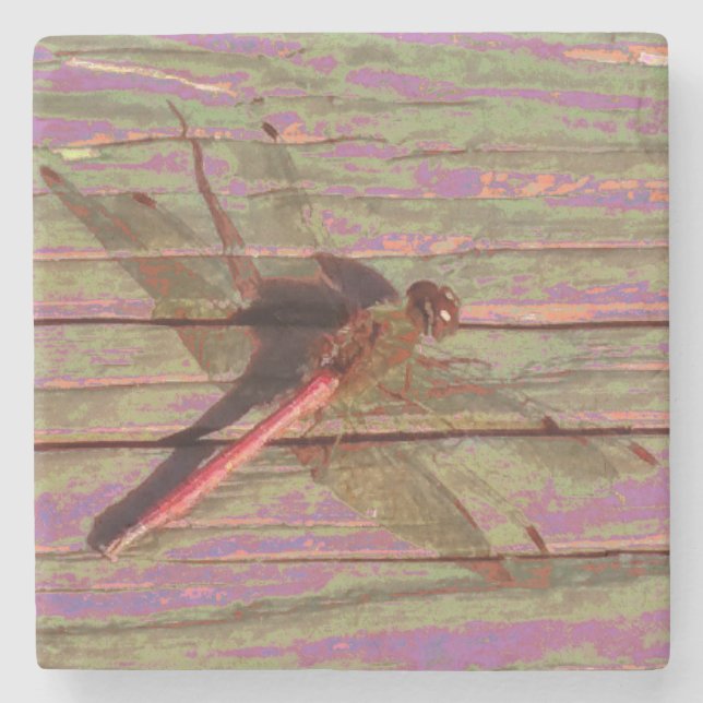 Posavasos De Piedra Dragonfly Colorful (Anverso)