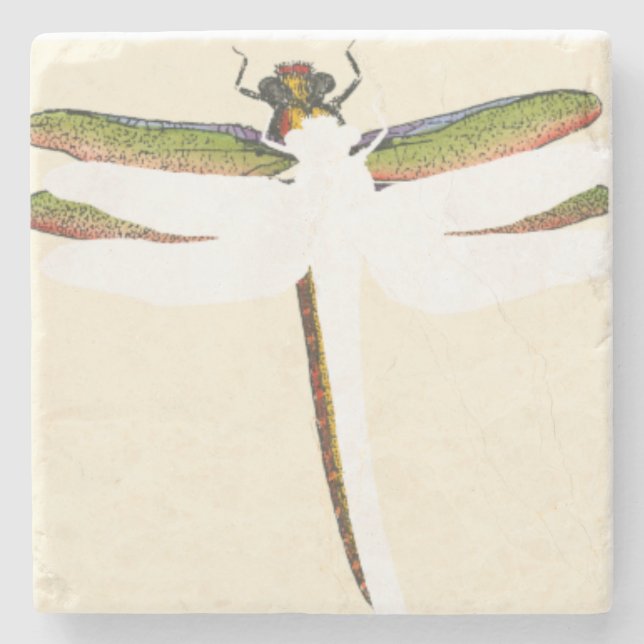 Posavasos De Piedra Dragonfly en miniatura sobre fondo blanco (Anverso)