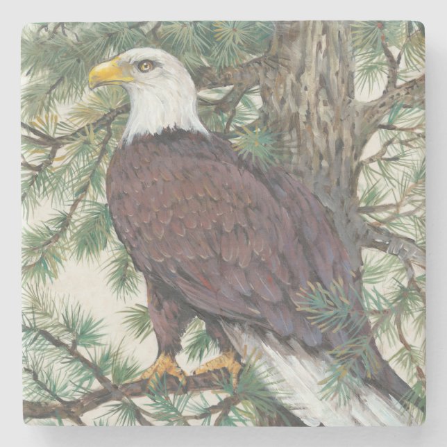 Posavasos De Piedra Eagle calvo en rama (Anverso)