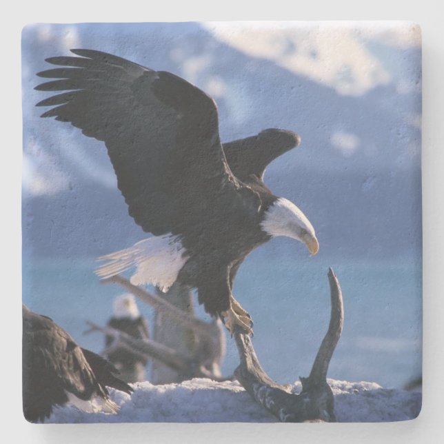 Posavasos De Piedra Eagle Stone Coaster (Anverso)