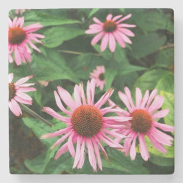 Posavasos De Piedra Echinacea Purpurea, deflor morado