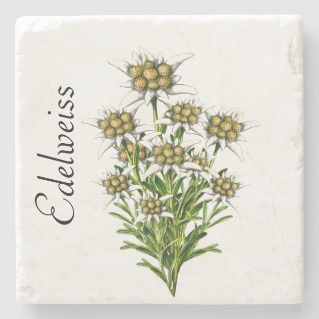 Posavasos De Piedra Edelweiss Stone Coaster (Anverso)