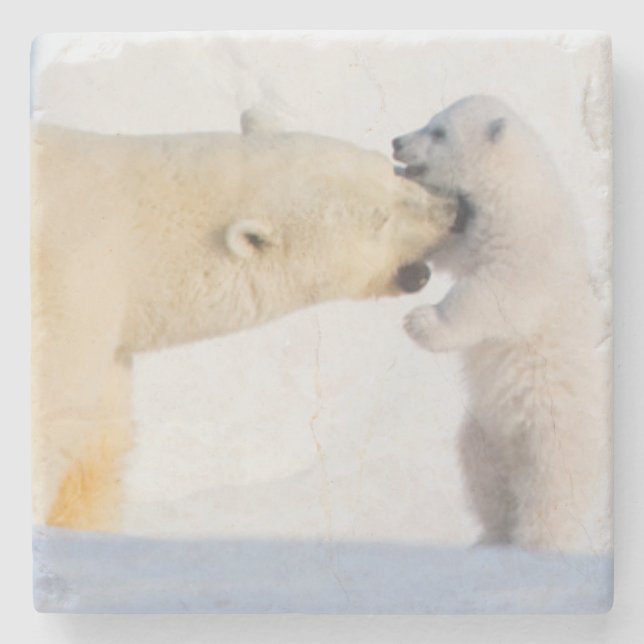 Posavasos De Piedra EE.UU., Alaska, pendiente norte | Osos polares (Anverso)