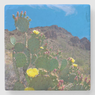 Posavasos De Piedra EE.UU., Arizona. Cactus En Las Colinas