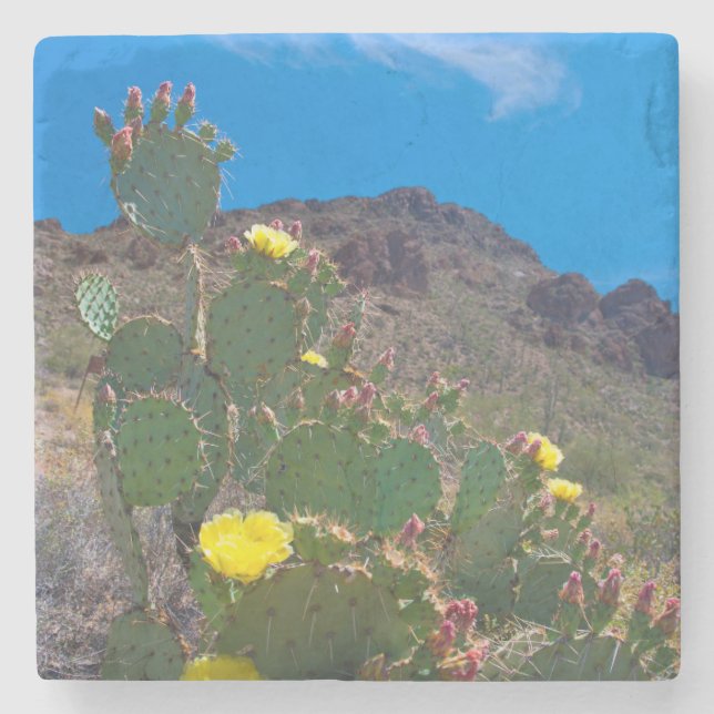 Posavasos De Piedra EE.UU., Arizona. Cactus En Las Colinas (Anverso)