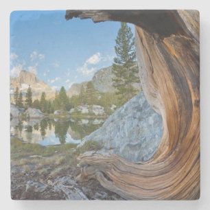 Posavasos De Piedra EE. UU., California, Bosque Nacional Inyo. Pino Vi