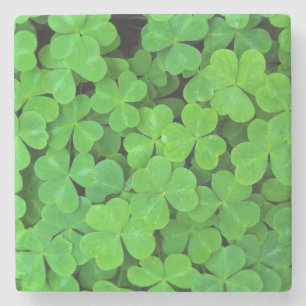 Posavasos De Piedra EE.UU., California, Jedediah Smith Rewood SP.