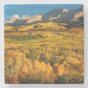Posavasos De Piedra EE. UU., Colorado, Bosque Nacional Gunnison