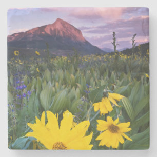 Posavasos De Piedra EE. UU., Colorado, Mt. Crested Butte
