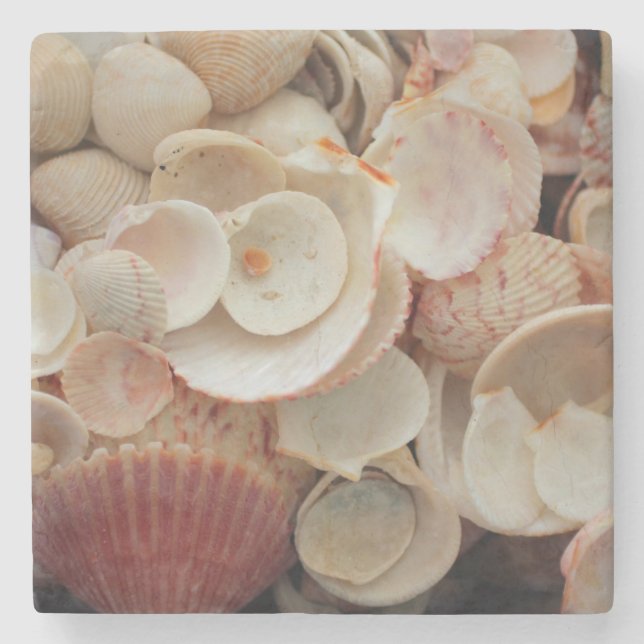 Posavasos De Piedra EE.UU., Florida. Cercano A Las Bombas De Santa Ros (Anverso)