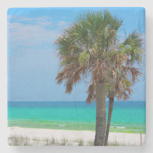 Posavasos De Piedra EE. UU., Florida. Palmeras en la Costa Esmeralda