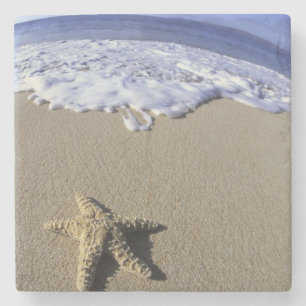 Posavasos De Piedra EE. UU., Hawái, Maui, Makena Beach, Estrella de ma
