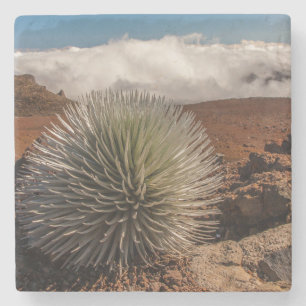 Posavasos De Piedra EE. UU., Hawái, Maui, Parque Nacional Haleakala