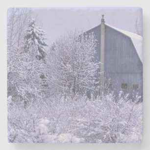Posavasos De Piedra EE. UU., Michigan, Rochester Hills. Azul nevado