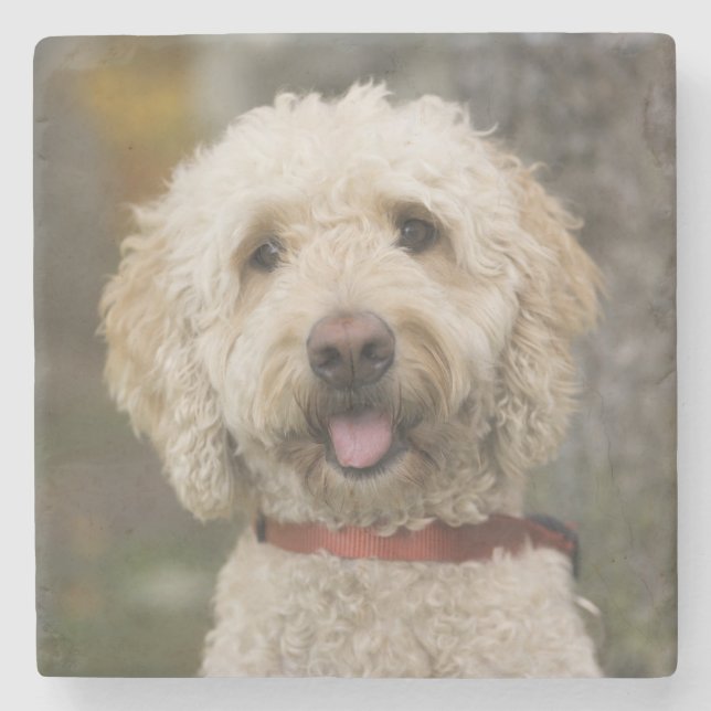 Posavasos De Piedra EE.UU., Nueva Inglaterra, Massachusetts, Lectura, (Anverso)