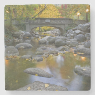 Posavasos De Piedra EE. UU., Oregón, Ashland, Lithia Park. Otoño