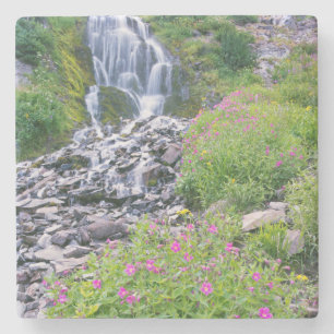 Posavasos De Piedra EE. UU., Oregón, Parque Nacional Lago del Cráter