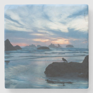 Posavasos De Piedra EE. UU., Oregón, playa de Bandon. Gaviota en roca