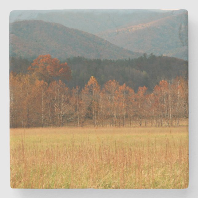 Posavasos De Piedra EE.UU., Tennessee. Cades Cove En La Montaña Humean (Anverso)
