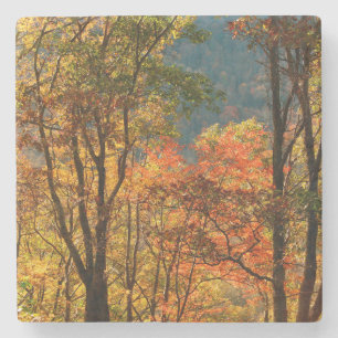 Posavasos De Piedra EE. UU., Tennessee. Follaje de otoño