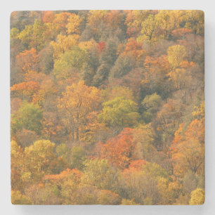 Posavasos De Piedra EE. UU., Tennessee. Follaje de otoño 2