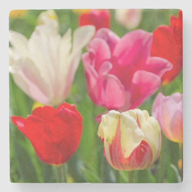 Posavasos De Piedra EE.UU., Tennessee, Nashville (Anverso)