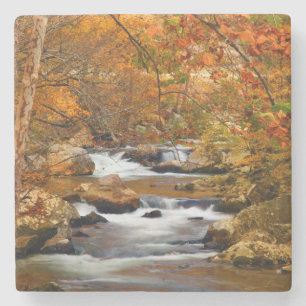 Posavasos De Piedra EE. UU., Tennessee. Rushing Mountain Creek