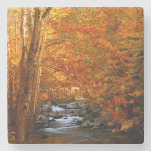 Posavasos De Piedra EE. UU., Tennessee. Rushing Mountain Creek 2
