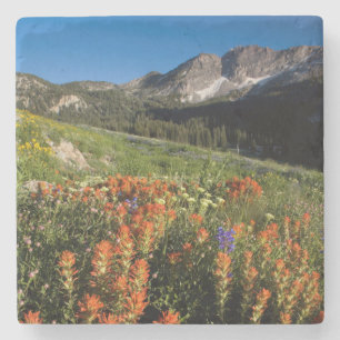 Posavasos De Piedra EE. UU., Utah, Bosque Nacional Uinta-Wasatch-Cache