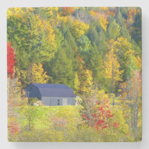 Posavasos De Piedra EE. UU., Vermont. Foliaje de otoño a lo largo de l