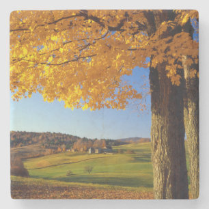 Posavasos De Piedra EE. UU., Vermont. Granja panorámica cerca de South