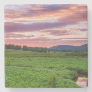 Posavasos De Piedra EE.UU., Virginia Occidental, Davis. Paisaje