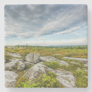 Posavasos De Piedra EE.UU., Virginia Occidental, Davis. Paisaje en Dol
