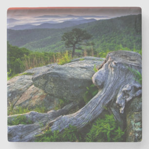 Posavasos De Piedra EE. UU., Virginia, Parque Nacional Shenandoah.