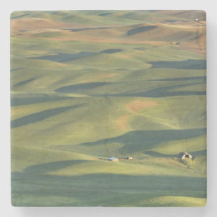 Posavasos De Piedra EE.UU., WA, Whitman Co., Palouse Farm Fields