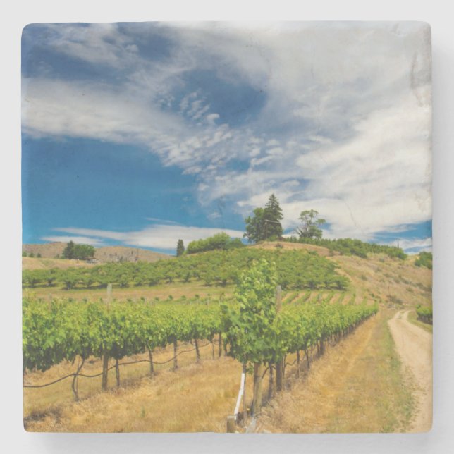 Posavasos De Piedra EE.UU., Washington, Lago Chelan. Viña 3 (Anverso)