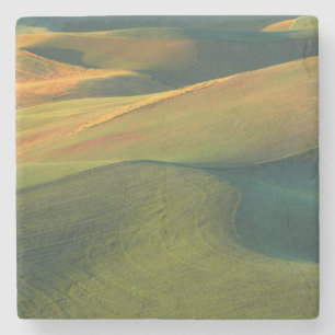 Posavasos De Piedra EE.UU., Washington, Palouse, condado de Whitman