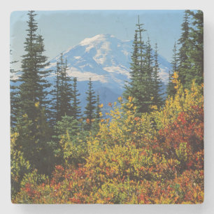 Posavasos De Piedra EE. UU., Washington, Parque Nacional Mt. Rainier 2