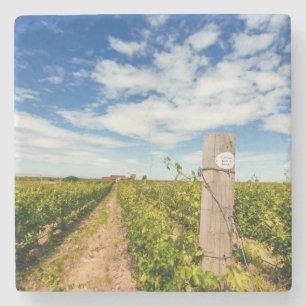 Posavasos De Piedra EE. UU., Washington, Walla Walla. Cabernet Sauvign